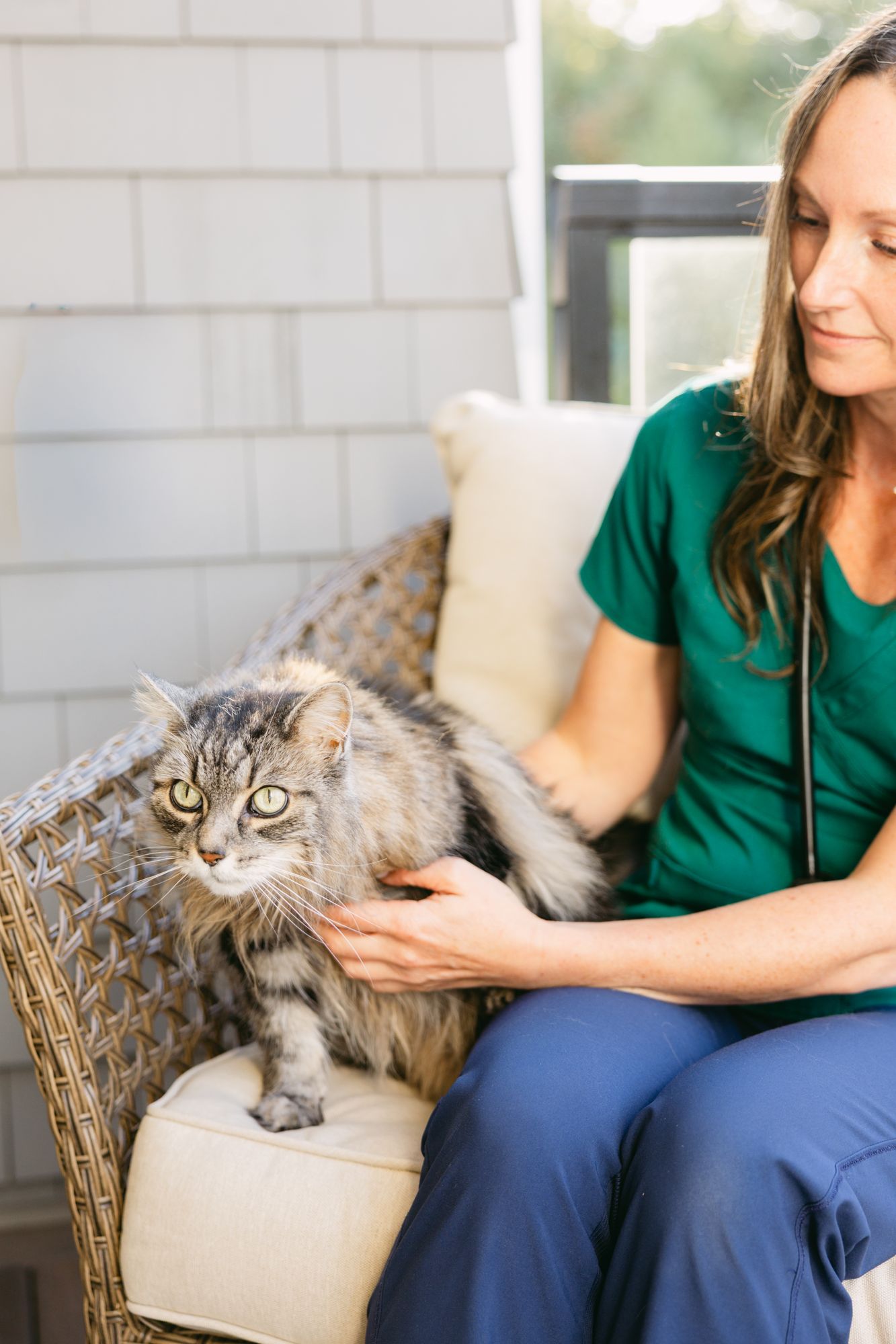 A veterinarian sitting beside a long-haired tabby cat on a wicker chair